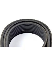 Curea PJ1549 19caneluri