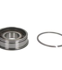 Rulment AB41659.YS05