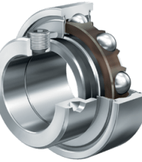 Rulment RAE 25 NPP FA106