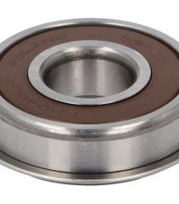 Rulment 6304 DDU N