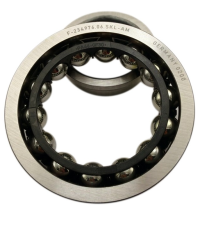 Rulment F-234976.06 FAG