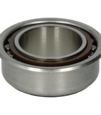 Rulment F-207555.6 INA