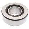 Rulment F-239495 FAG